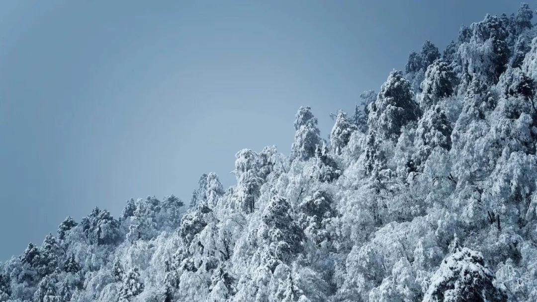 清华校园寒假参观人气旺